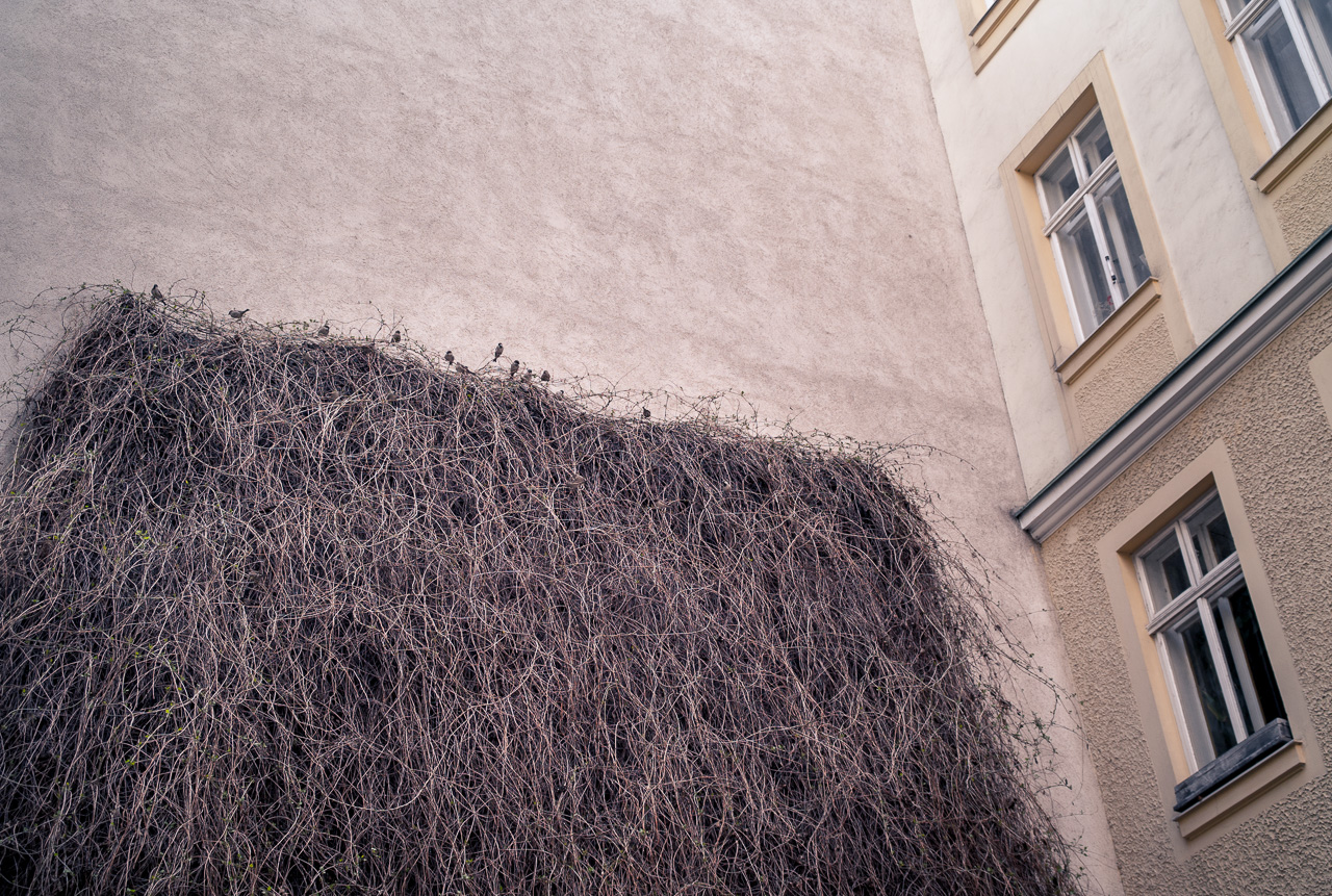 wien_018.jpg