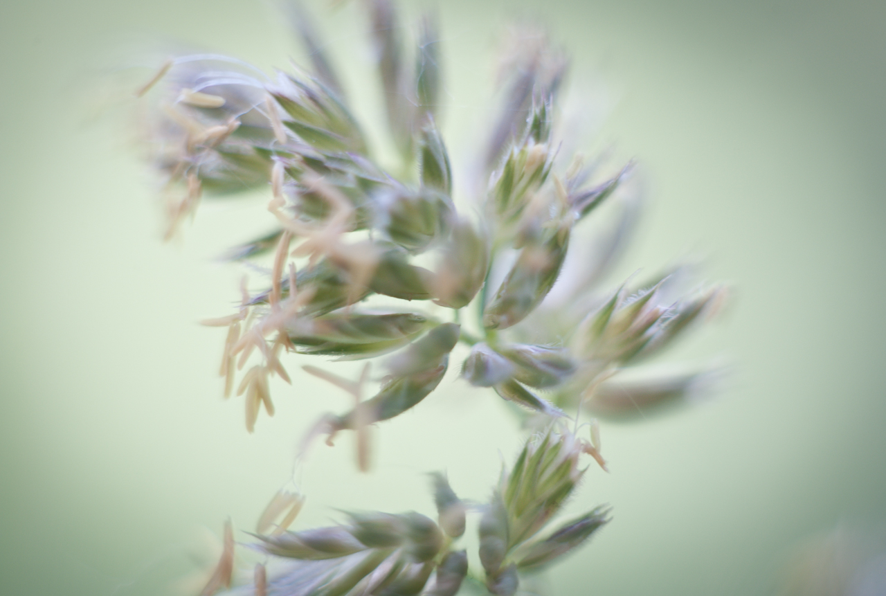 garden_004.jpg