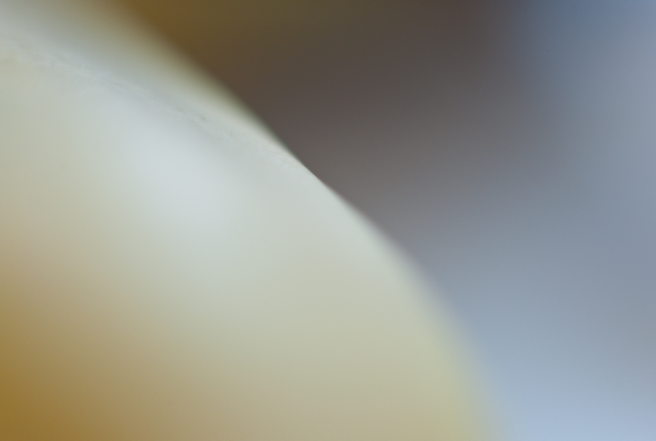 garden_002.jpg