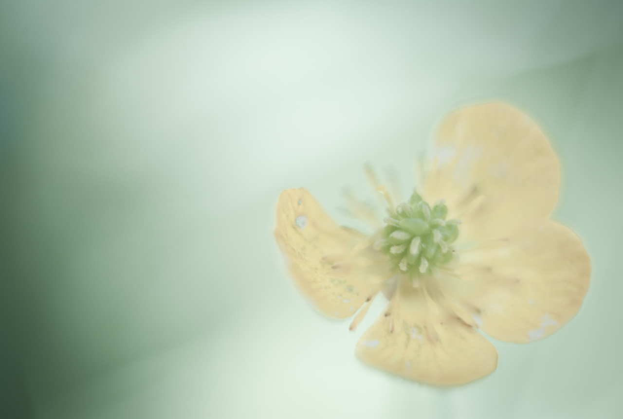 garden_003.jpg