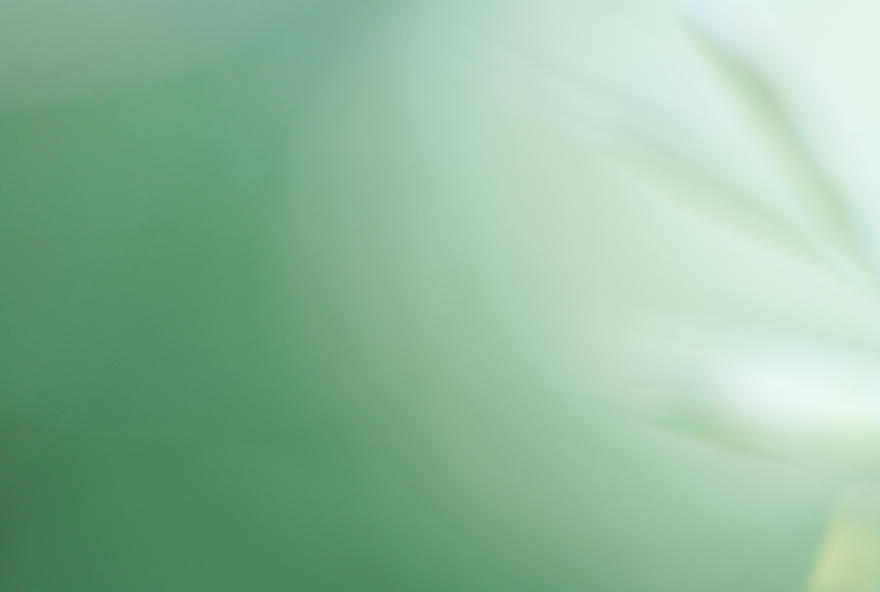 garden_006.jpg