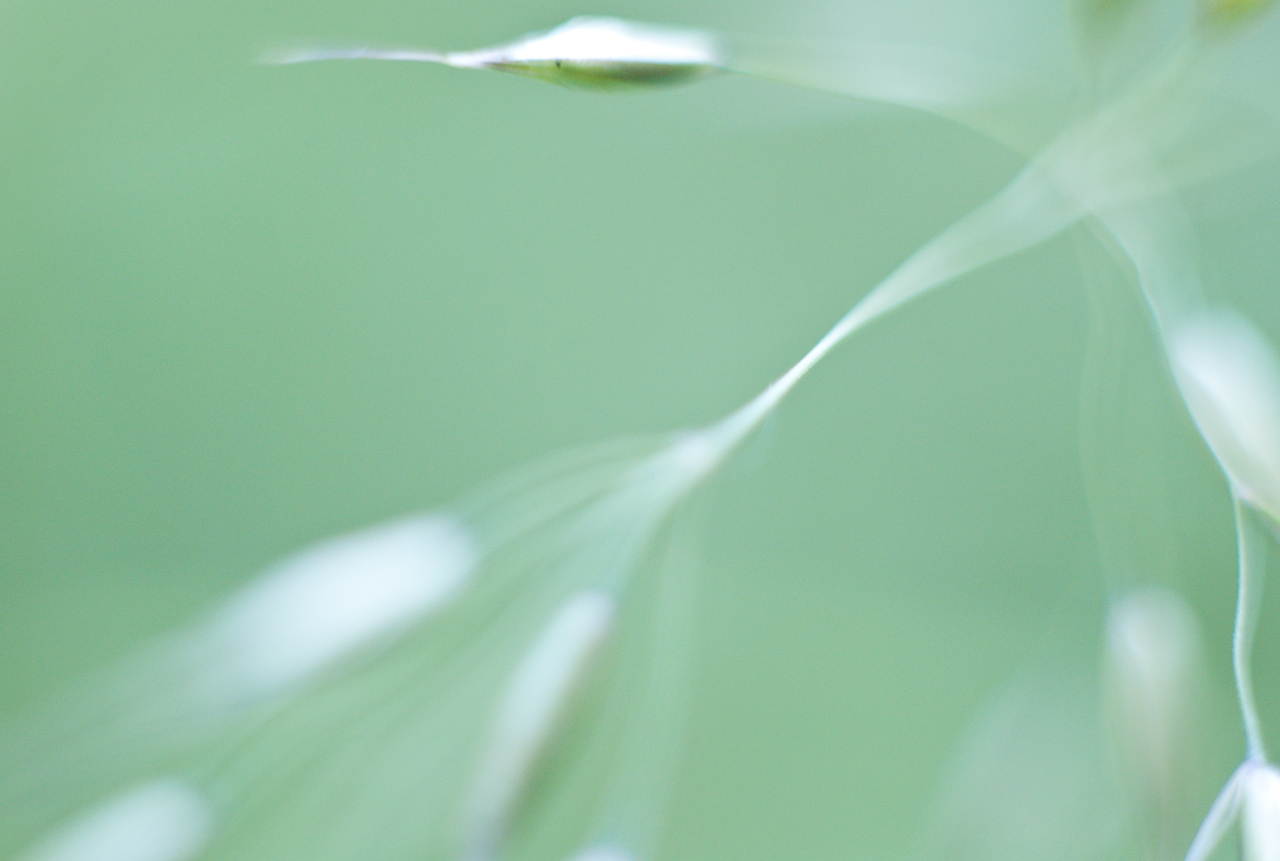 garden_008.jpg