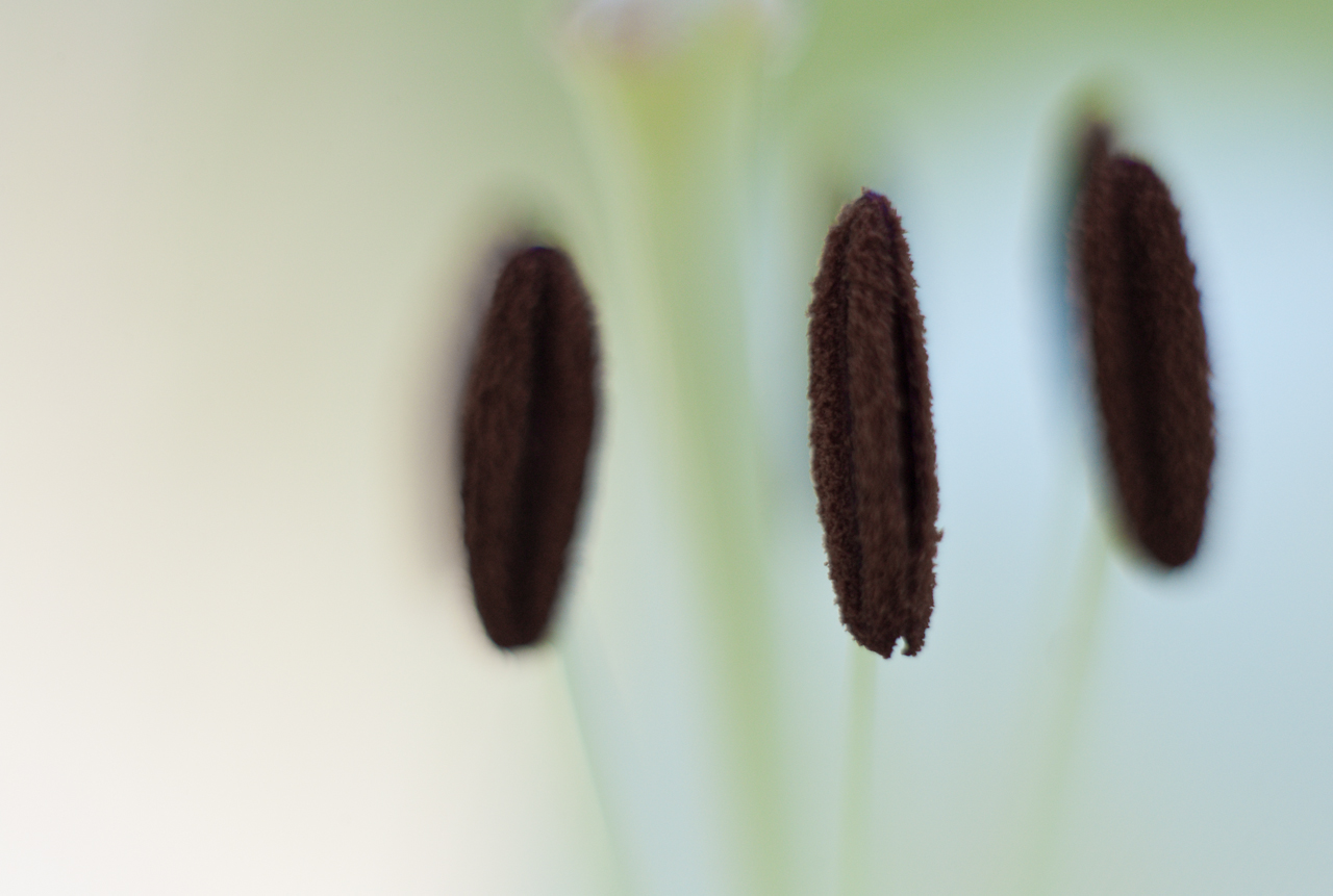 garden_010.jpg