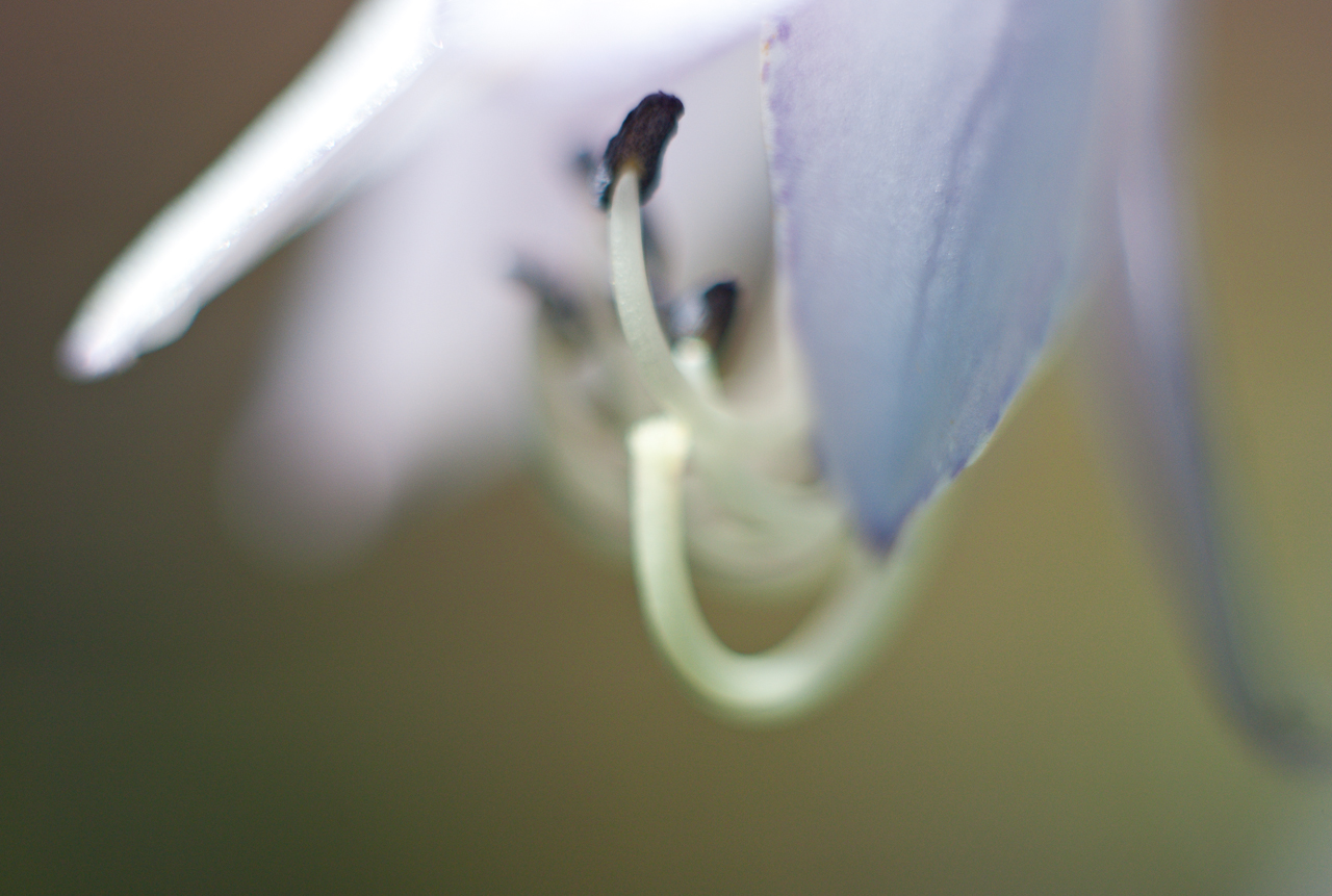 garden_011.jpg