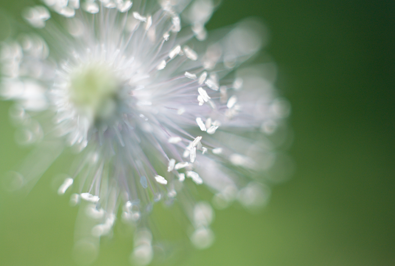 garden_012.jpg