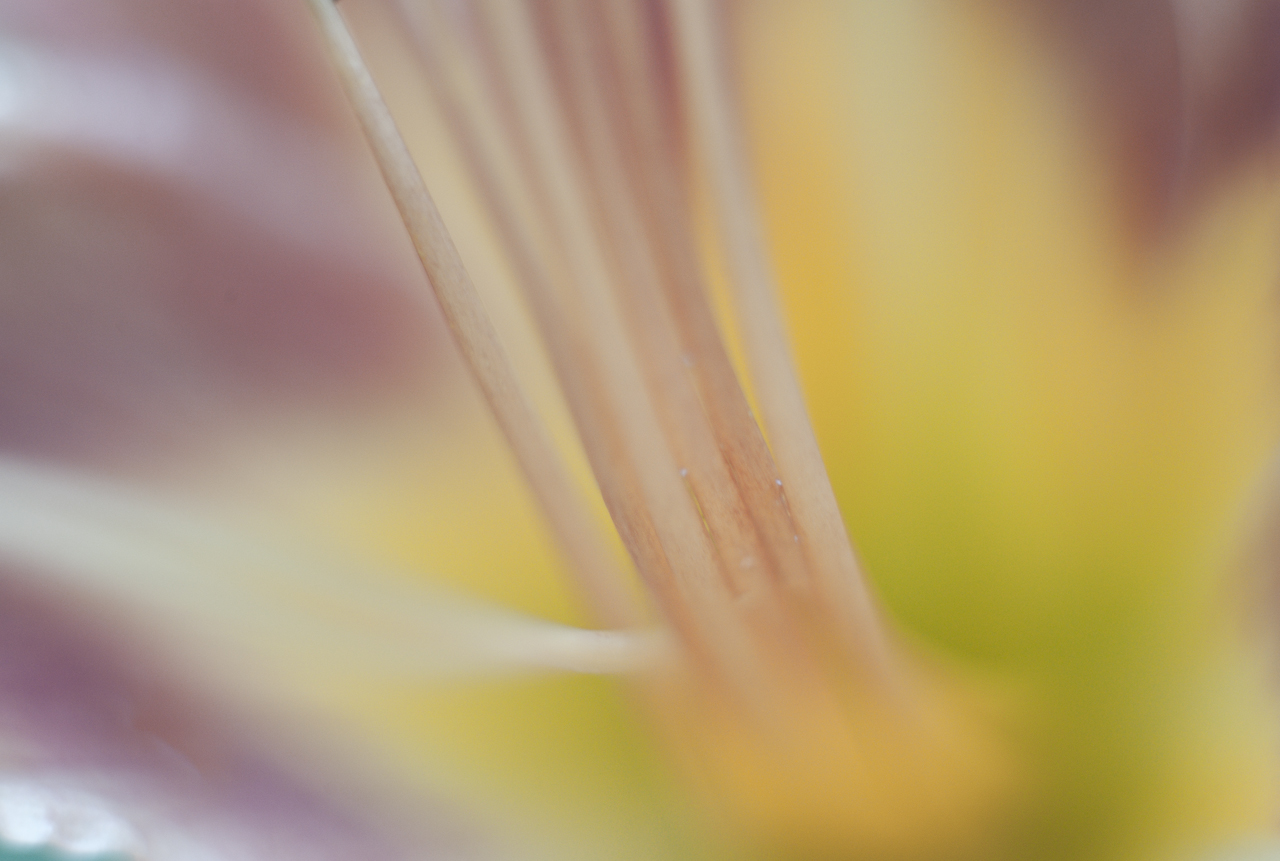 garden_013.jpg