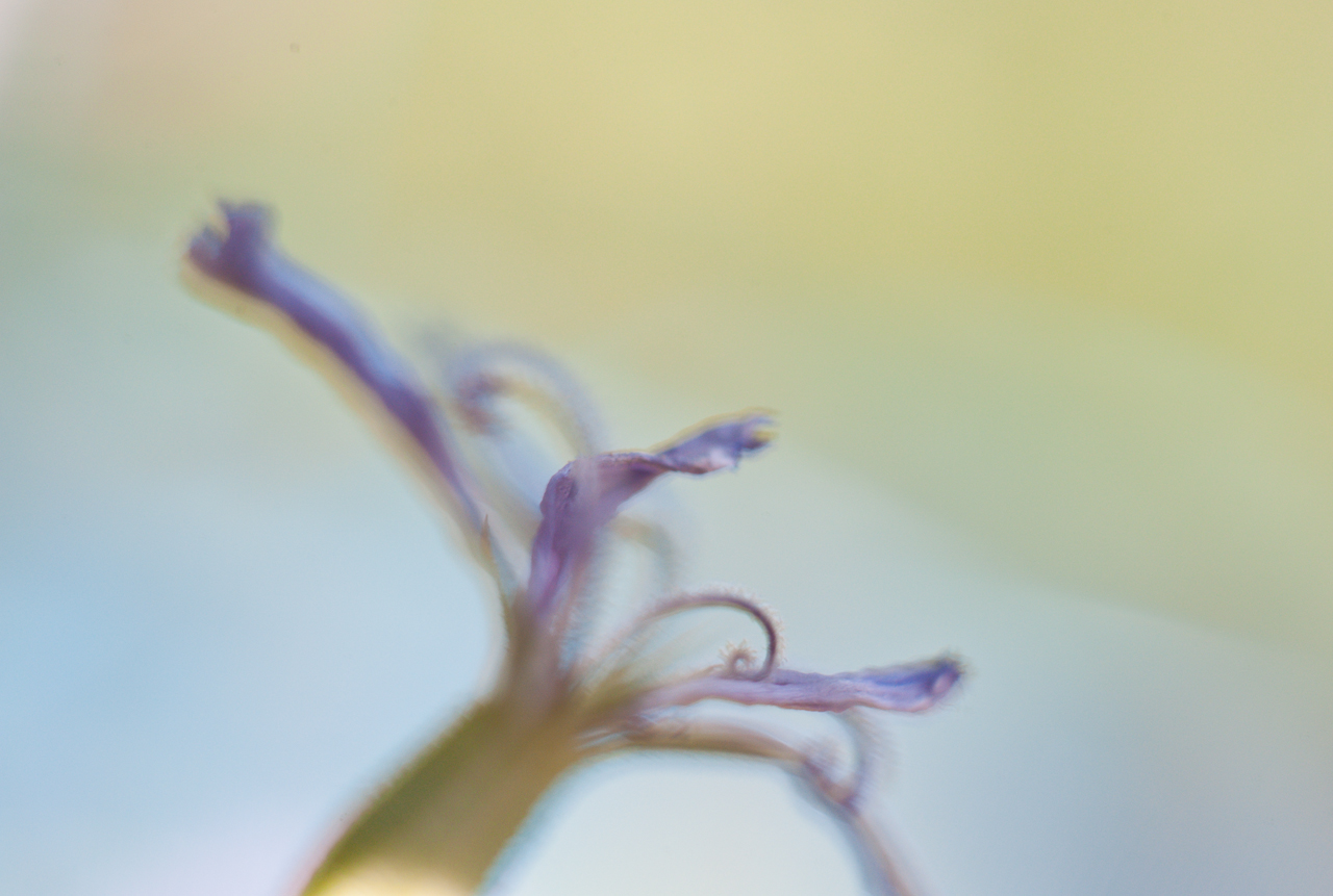 garden_019.jpg