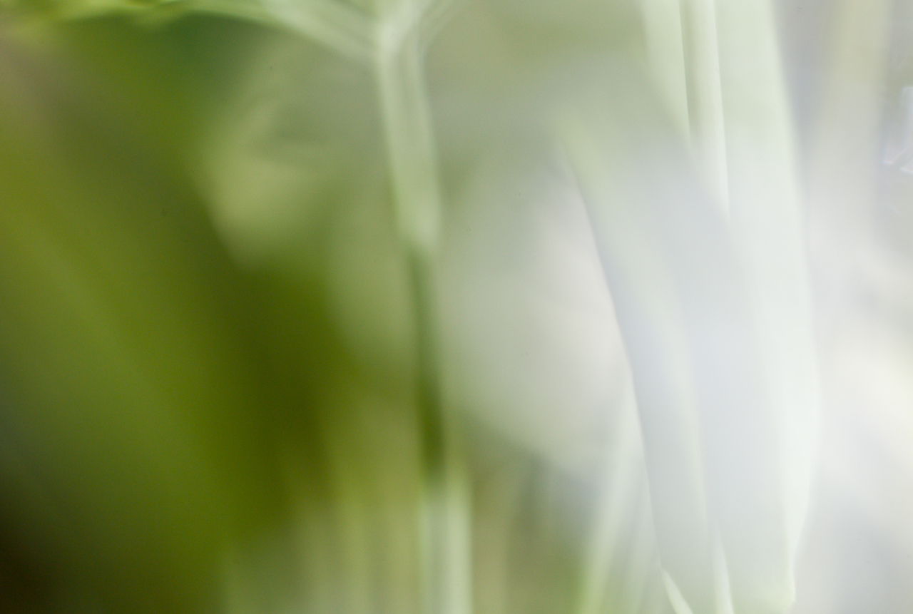 garden_020.jpg