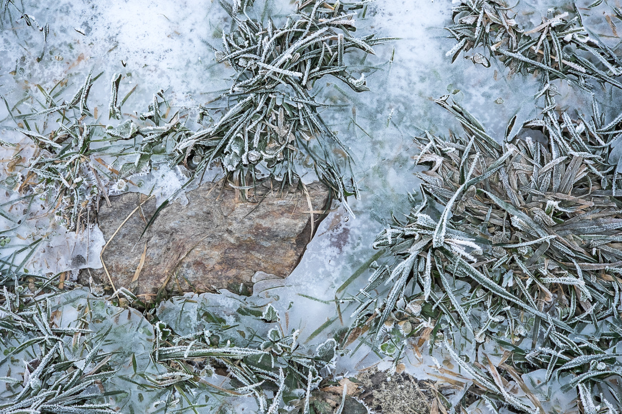 ice_009.jpg