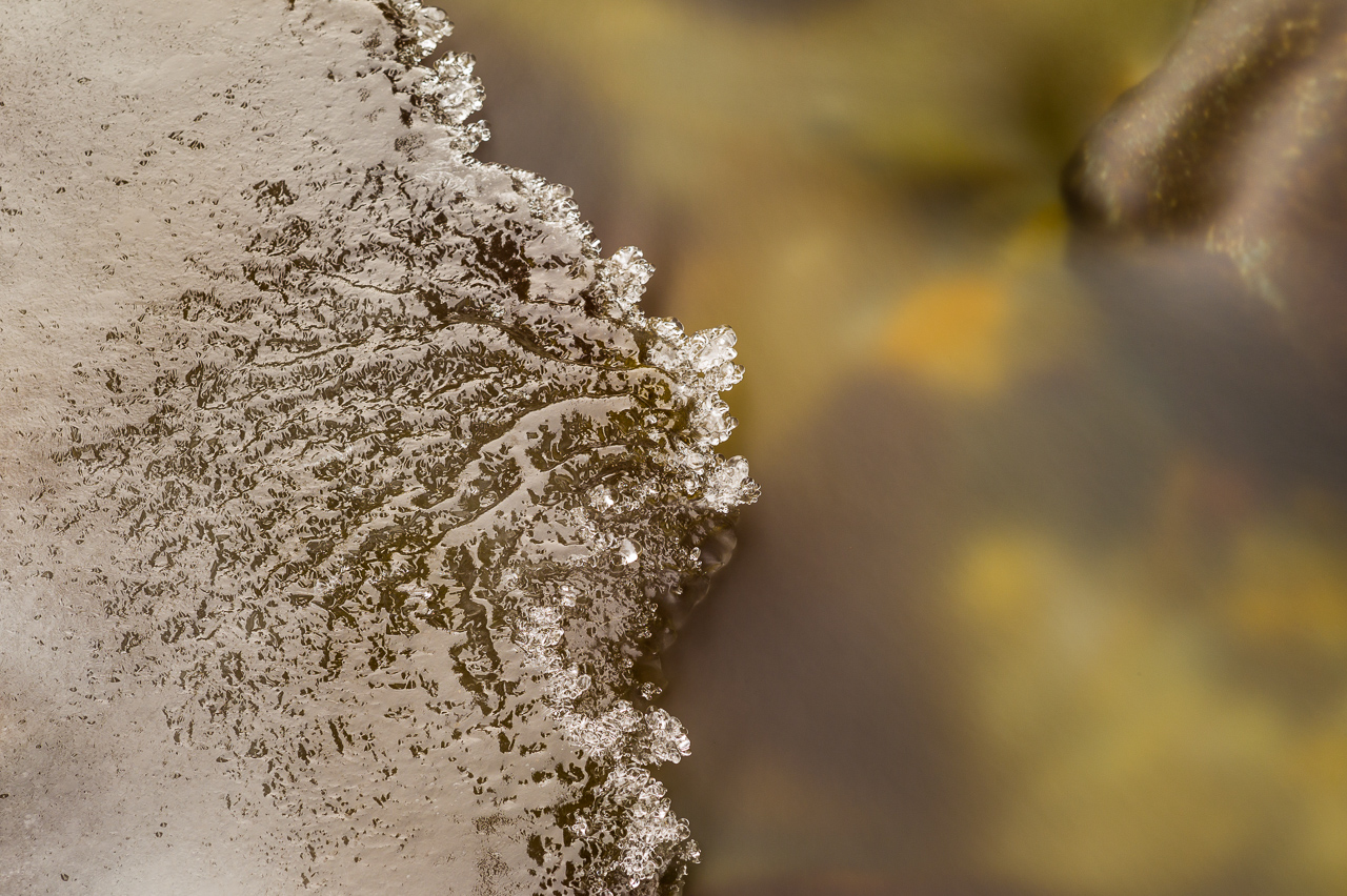 ice_011.jpg