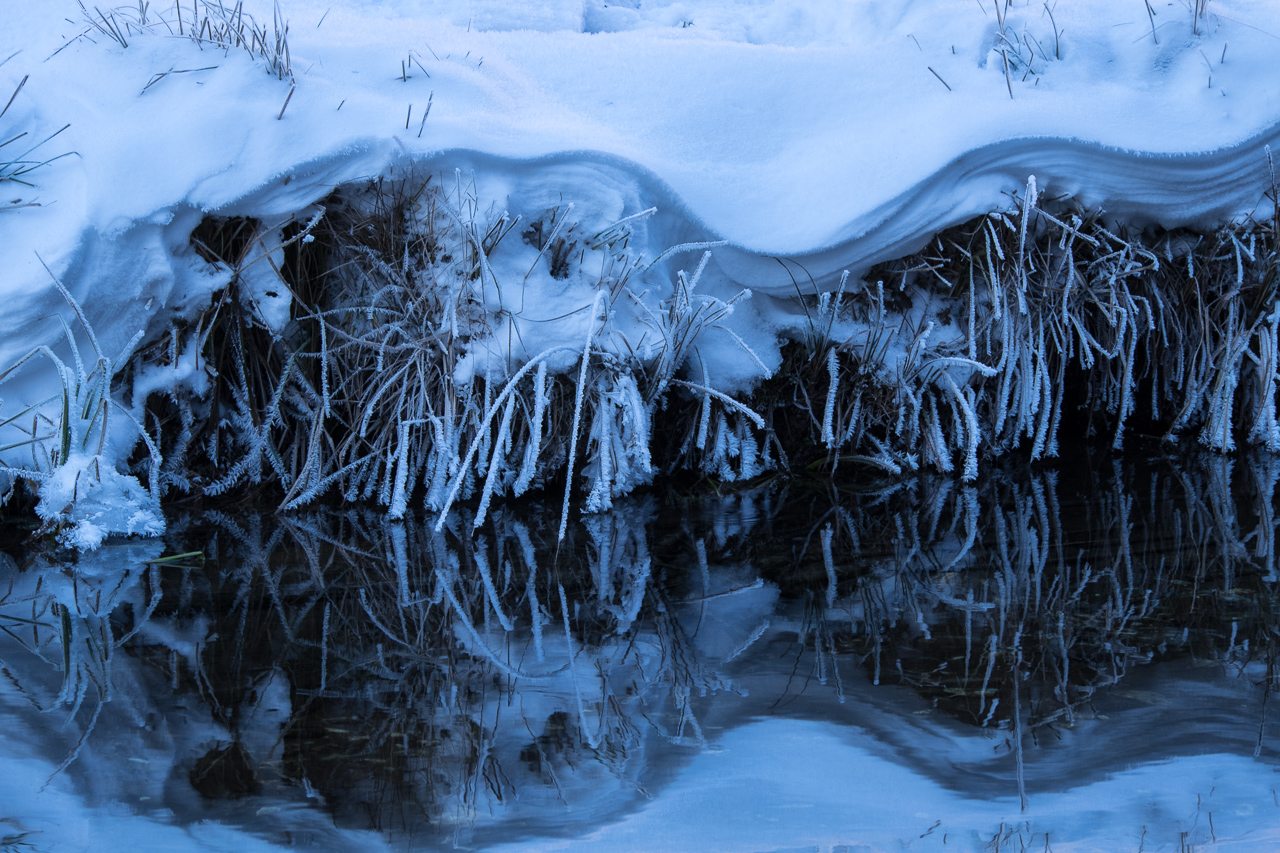 ice_012.jpg