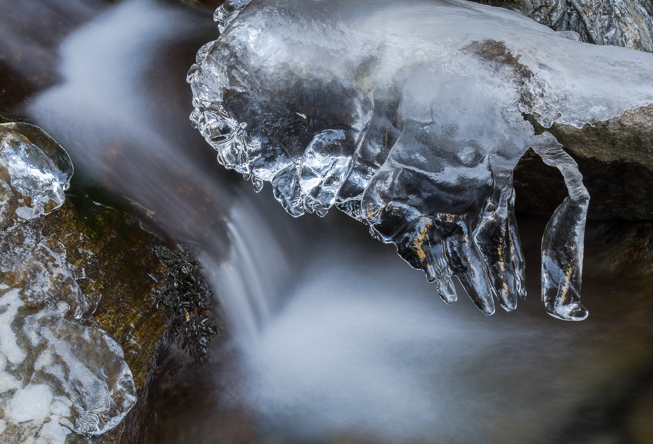 ice_014.jpg