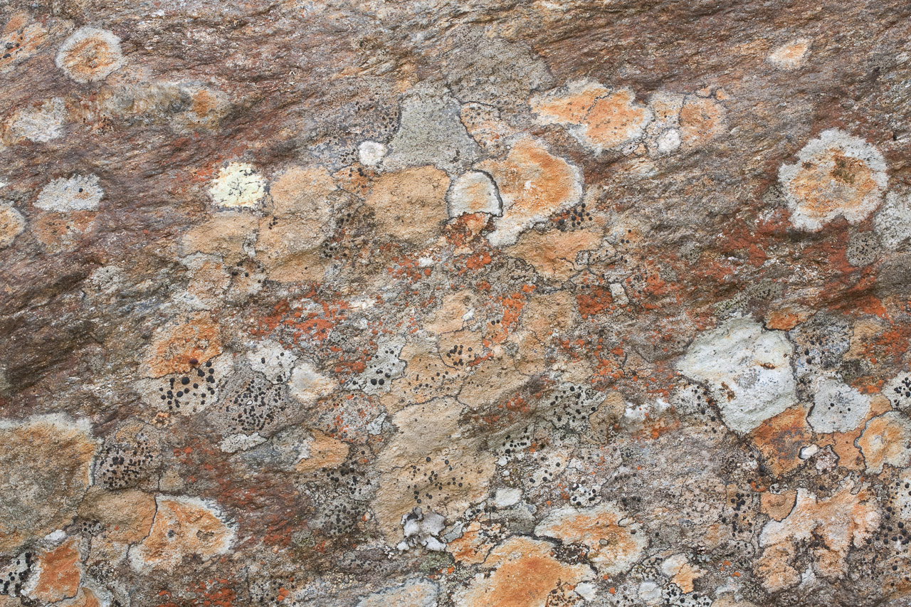 rock_003.jpg