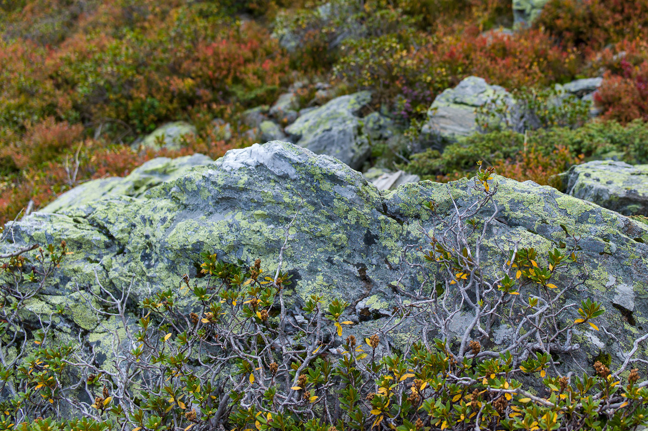 rock_004.jpg