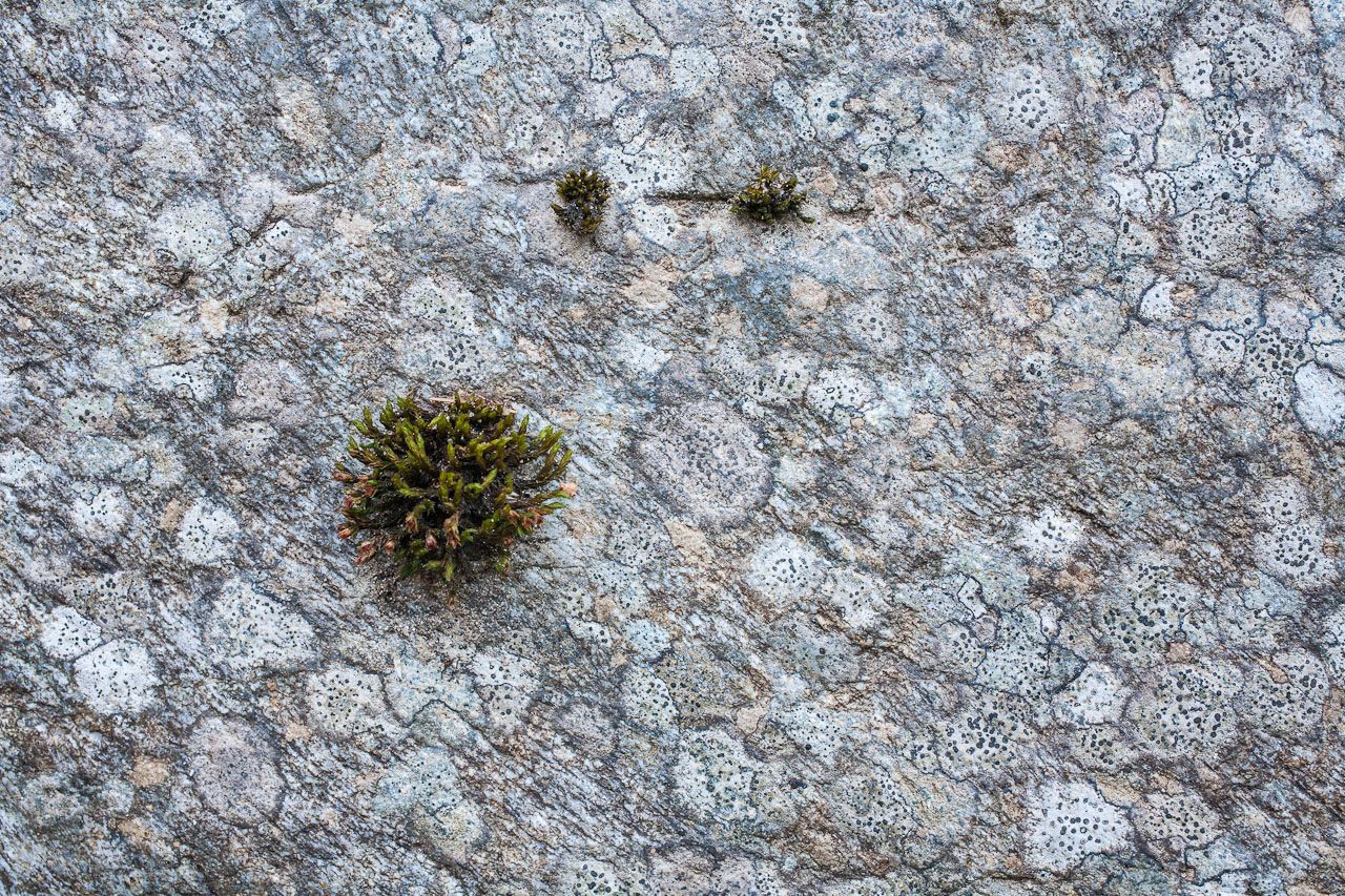 rock_007.jpg
