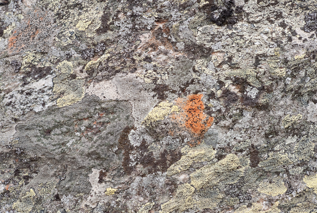 rock_009.jpg