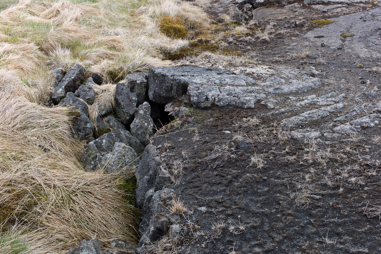 rock_010.jpg