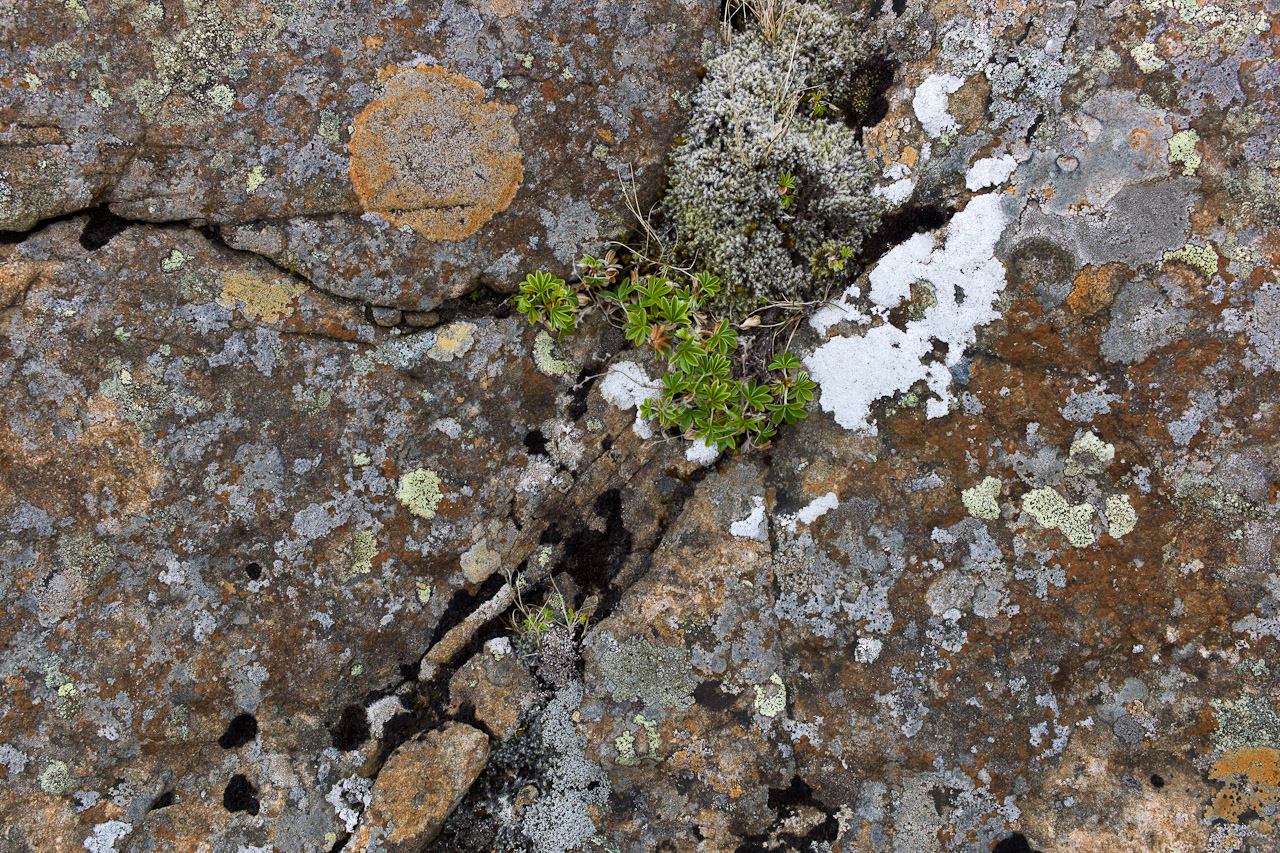 rock_011.jpg
