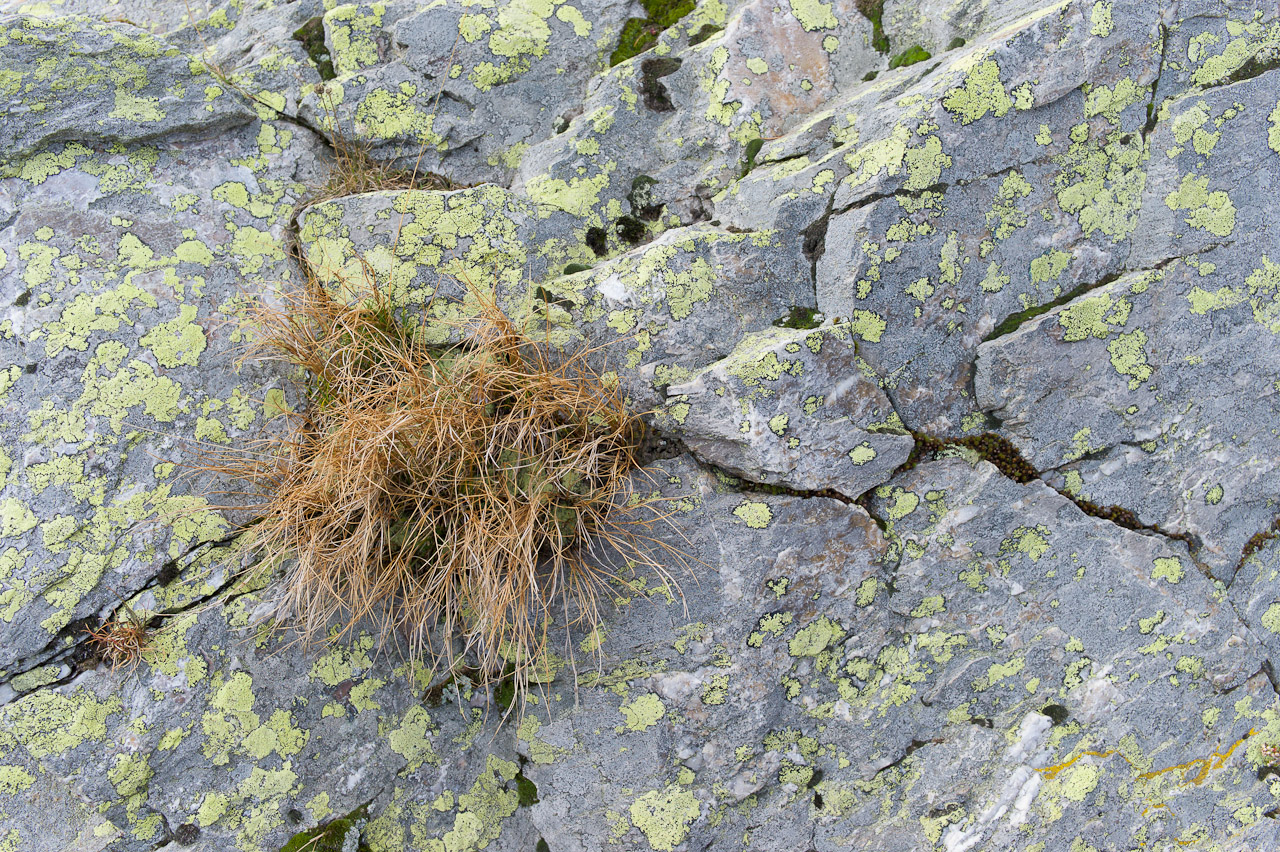rock_015.jpg