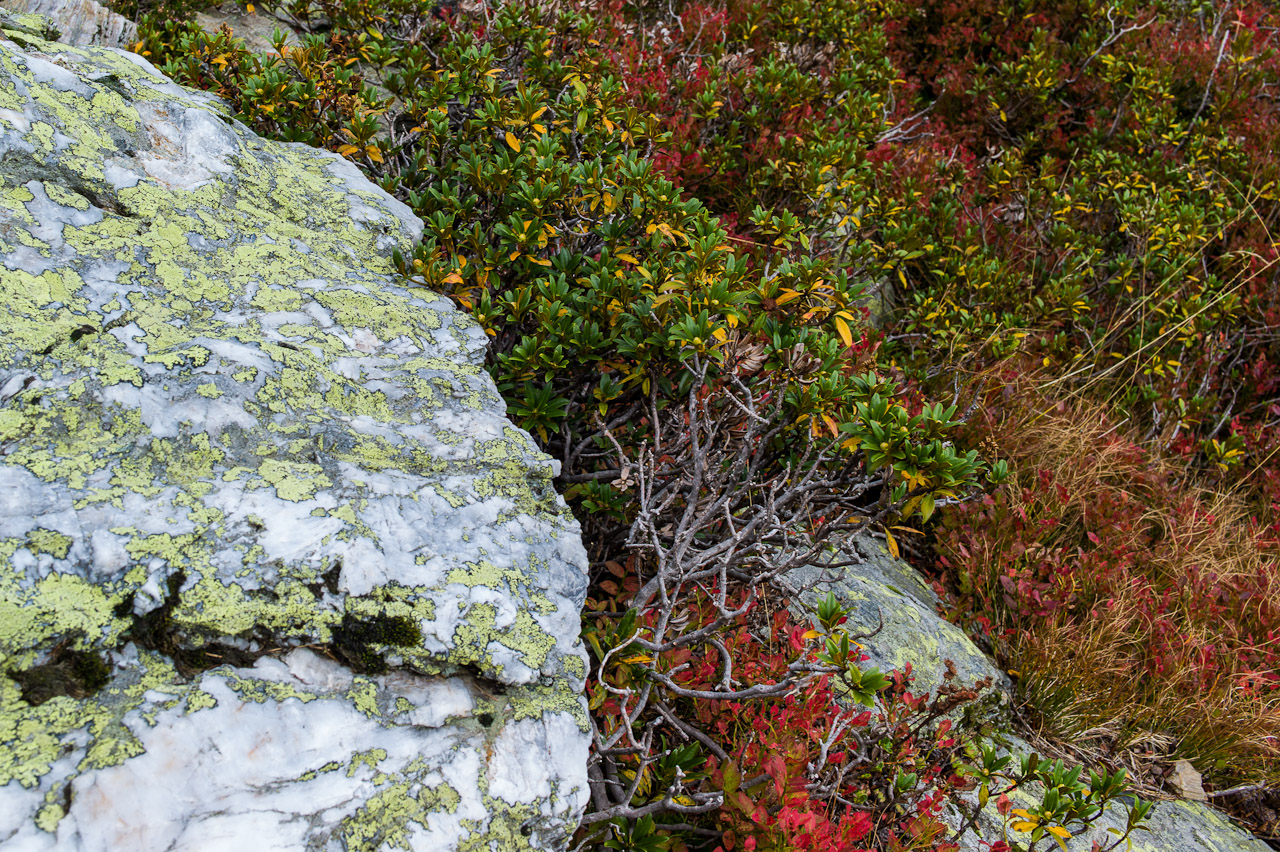 rock_016.jpg