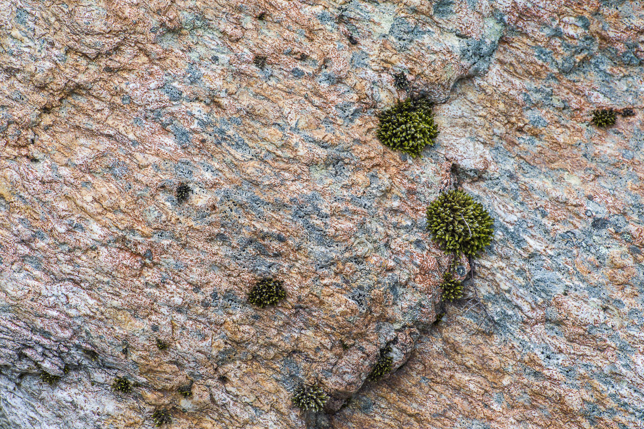 rock_017.jpg