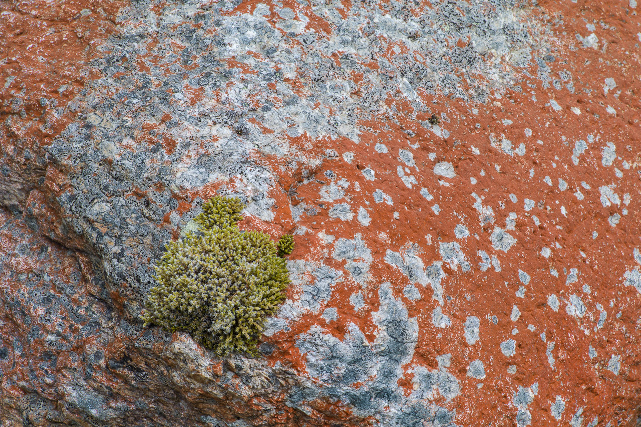 rock_018.jpg