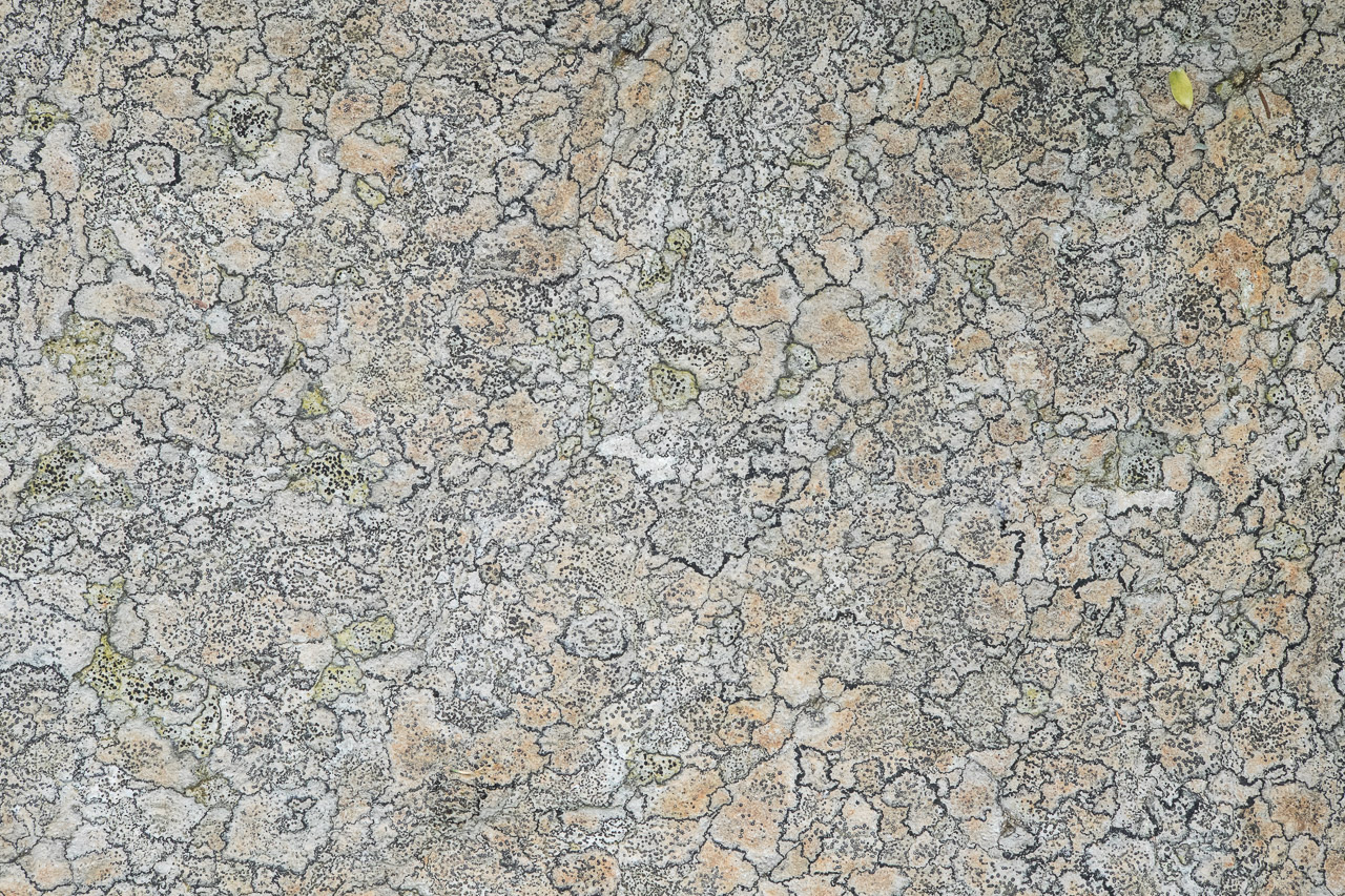 rock_021.jpg