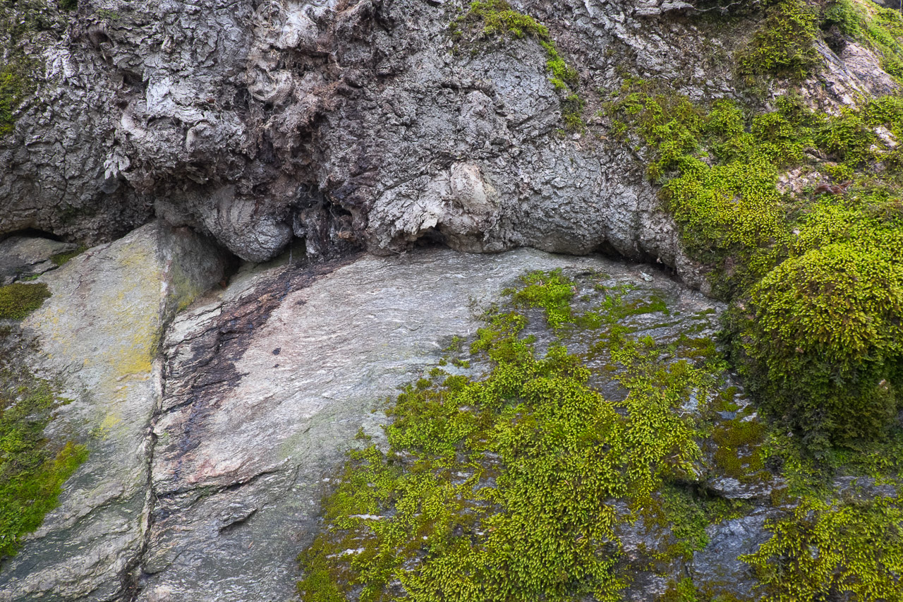 rock_022.jpg