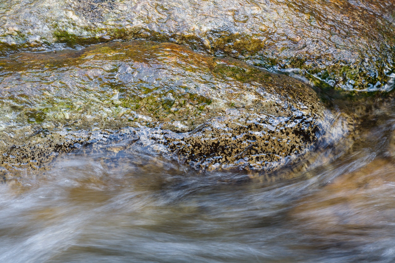wet_002.jpg