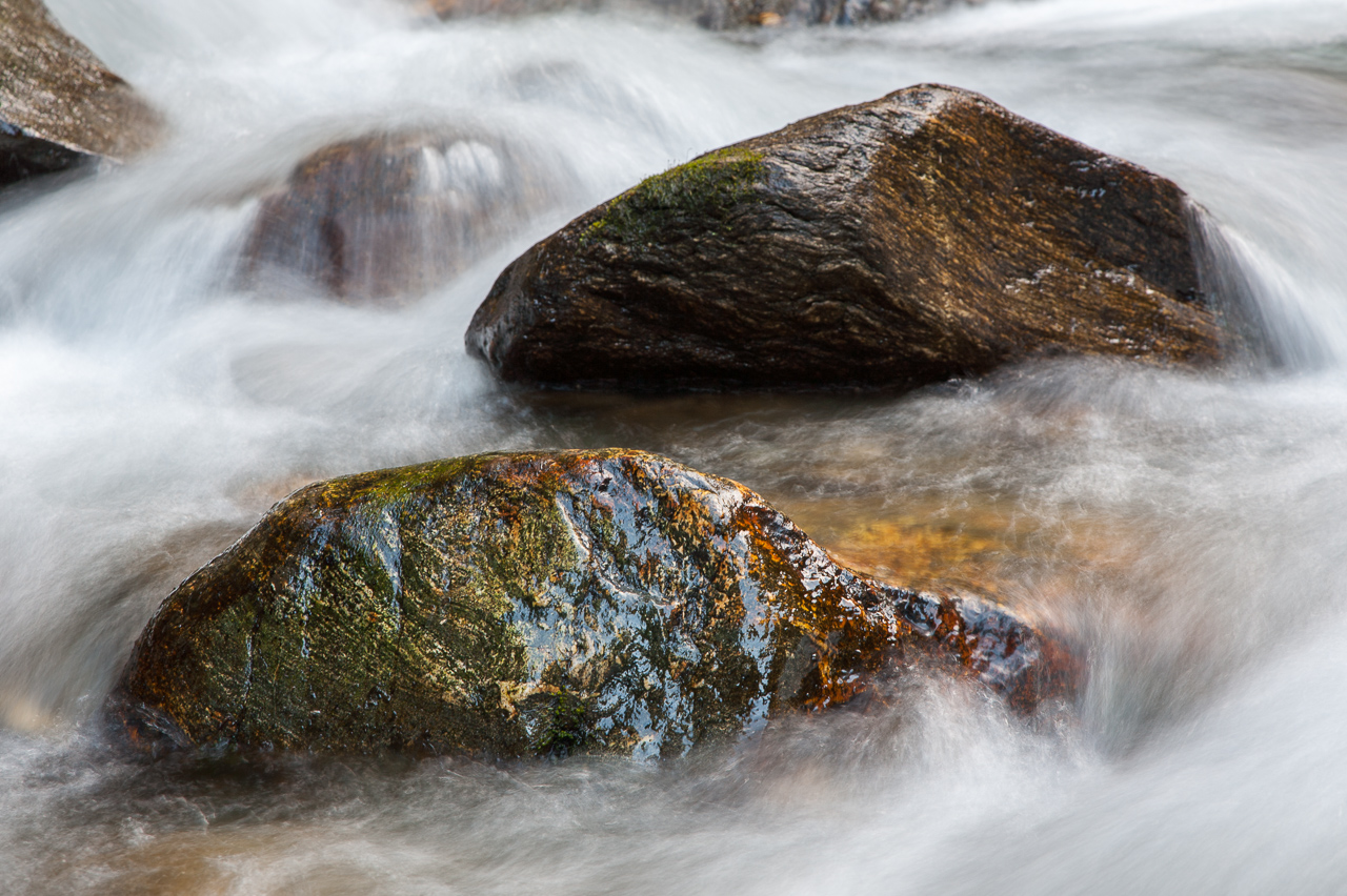 wet_004.jpg