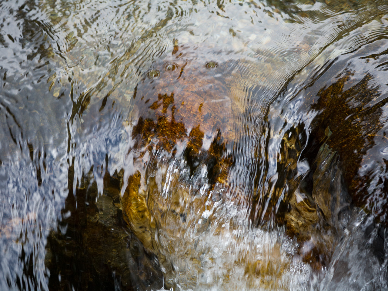 wet_006.jpg