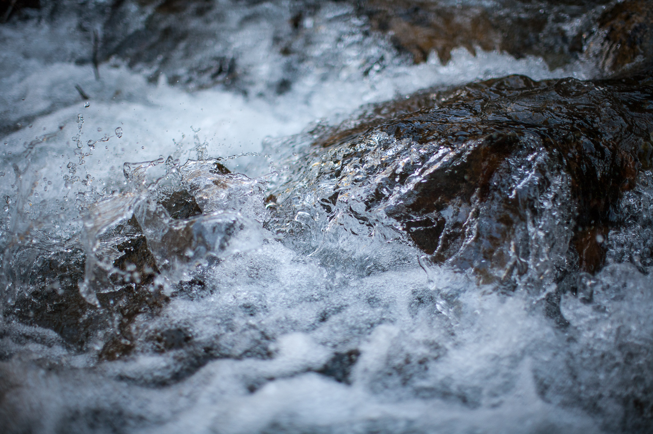 wet_007.jpg