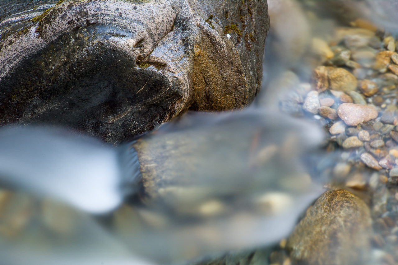 wet_008.jpg