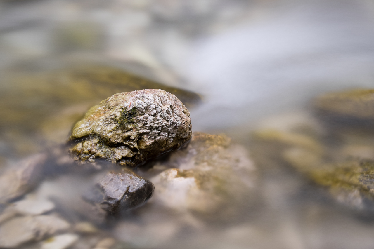 wet_010.jpg