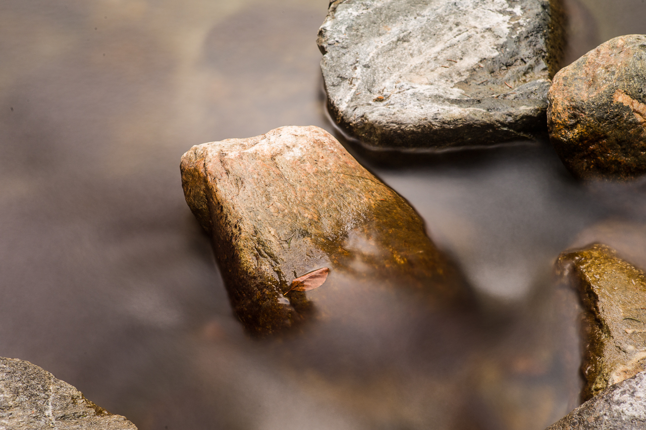 wet_012.jpg