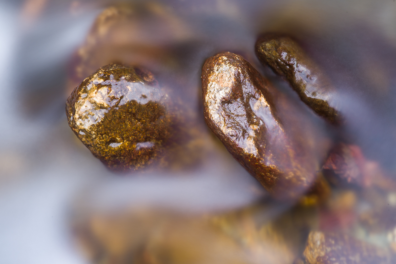 wet_014.jpg