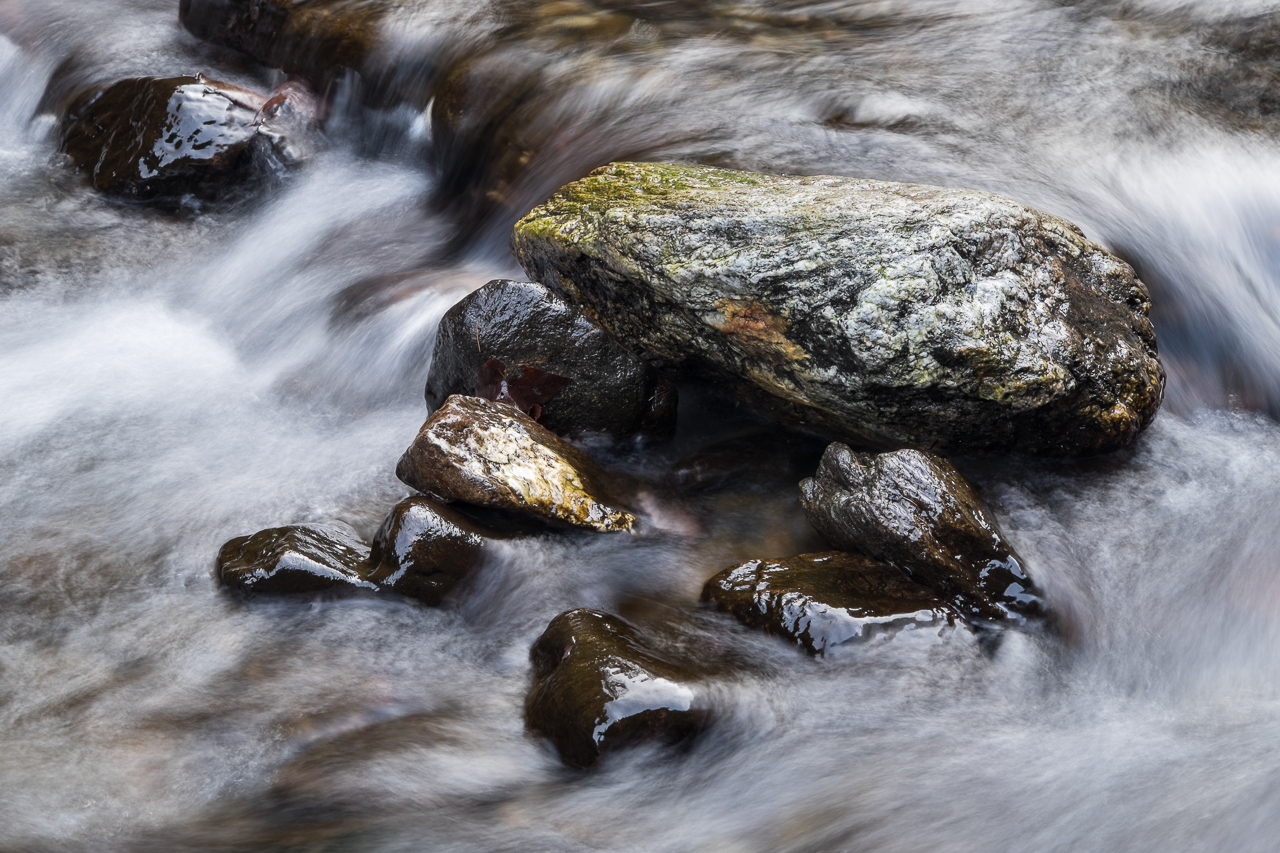 wet_015.jpg