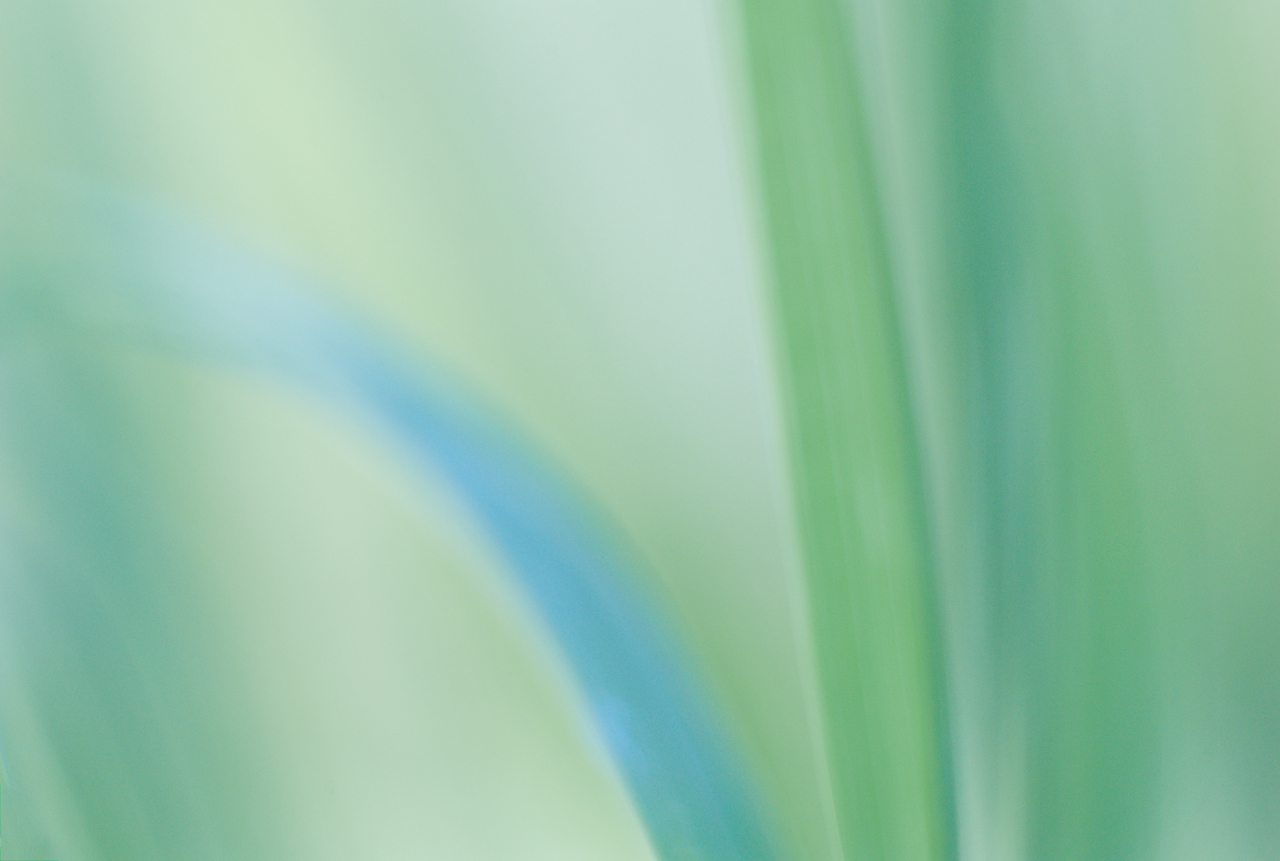 hi_004.jpg