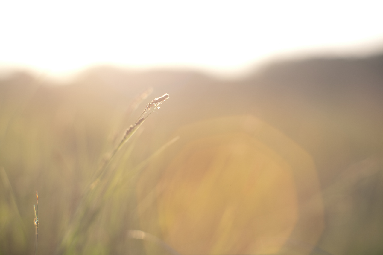 hi_015.jpg