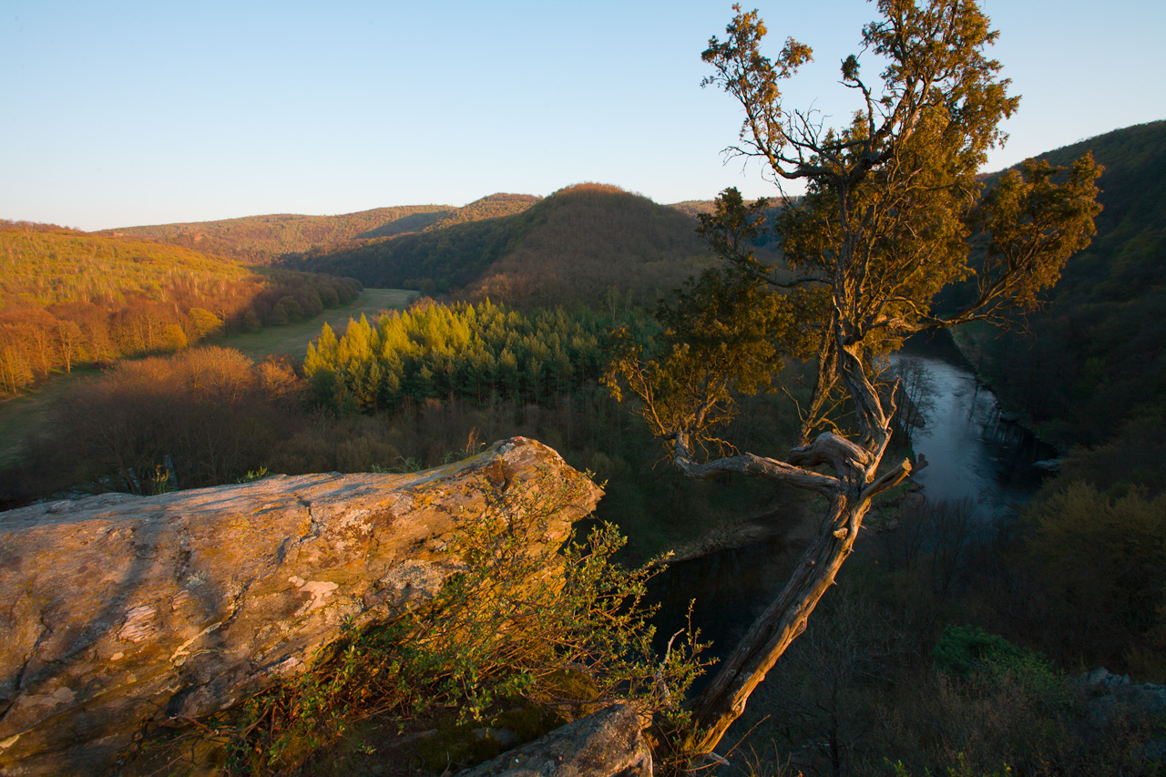 landscape_002.jpg