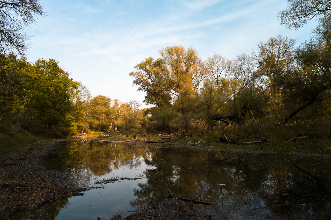 landscape_003.jpg