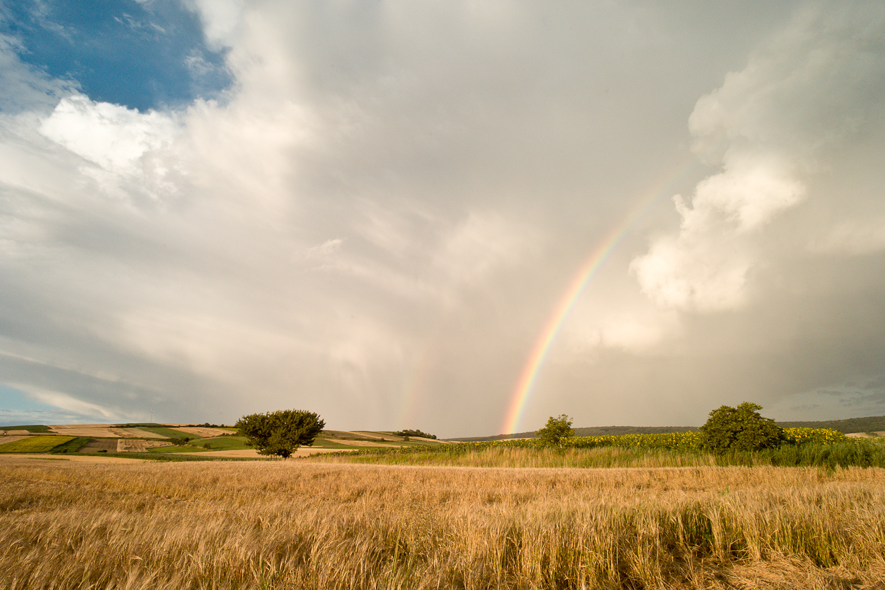 landscape_004.jpg