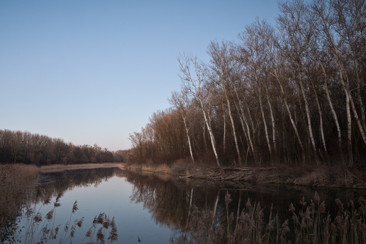 landscape_008.jpg