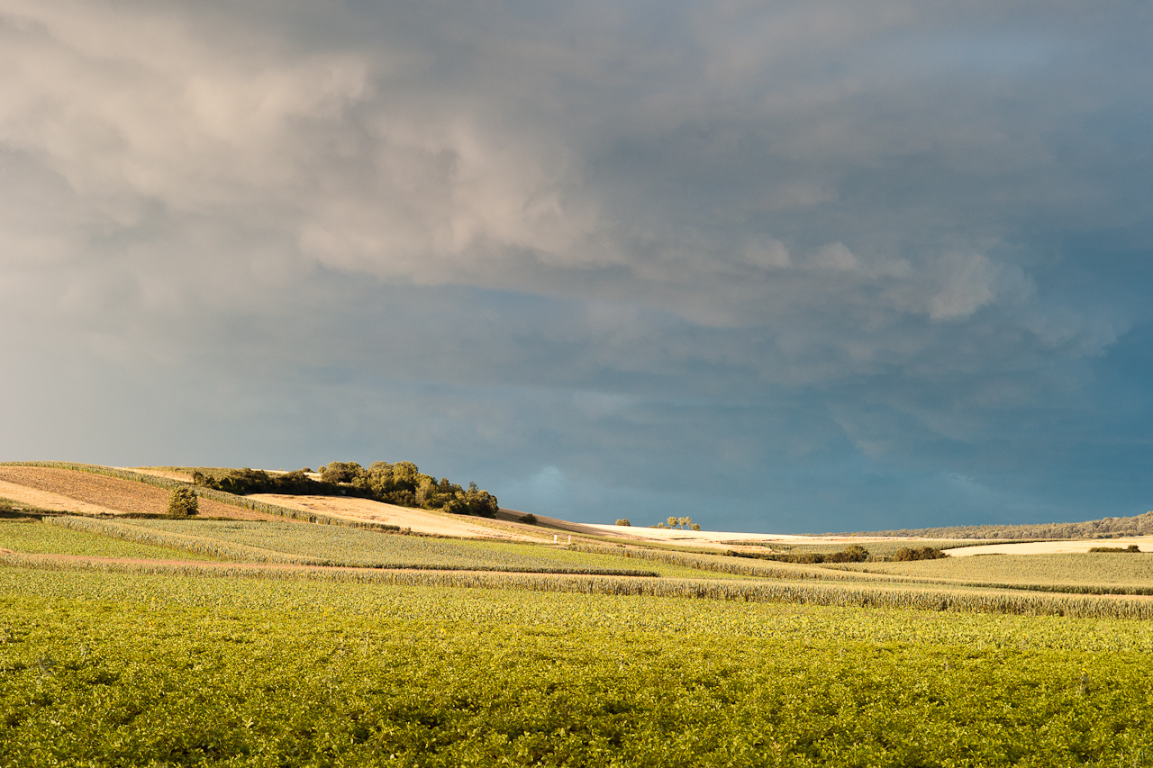 landscape_009.jpg