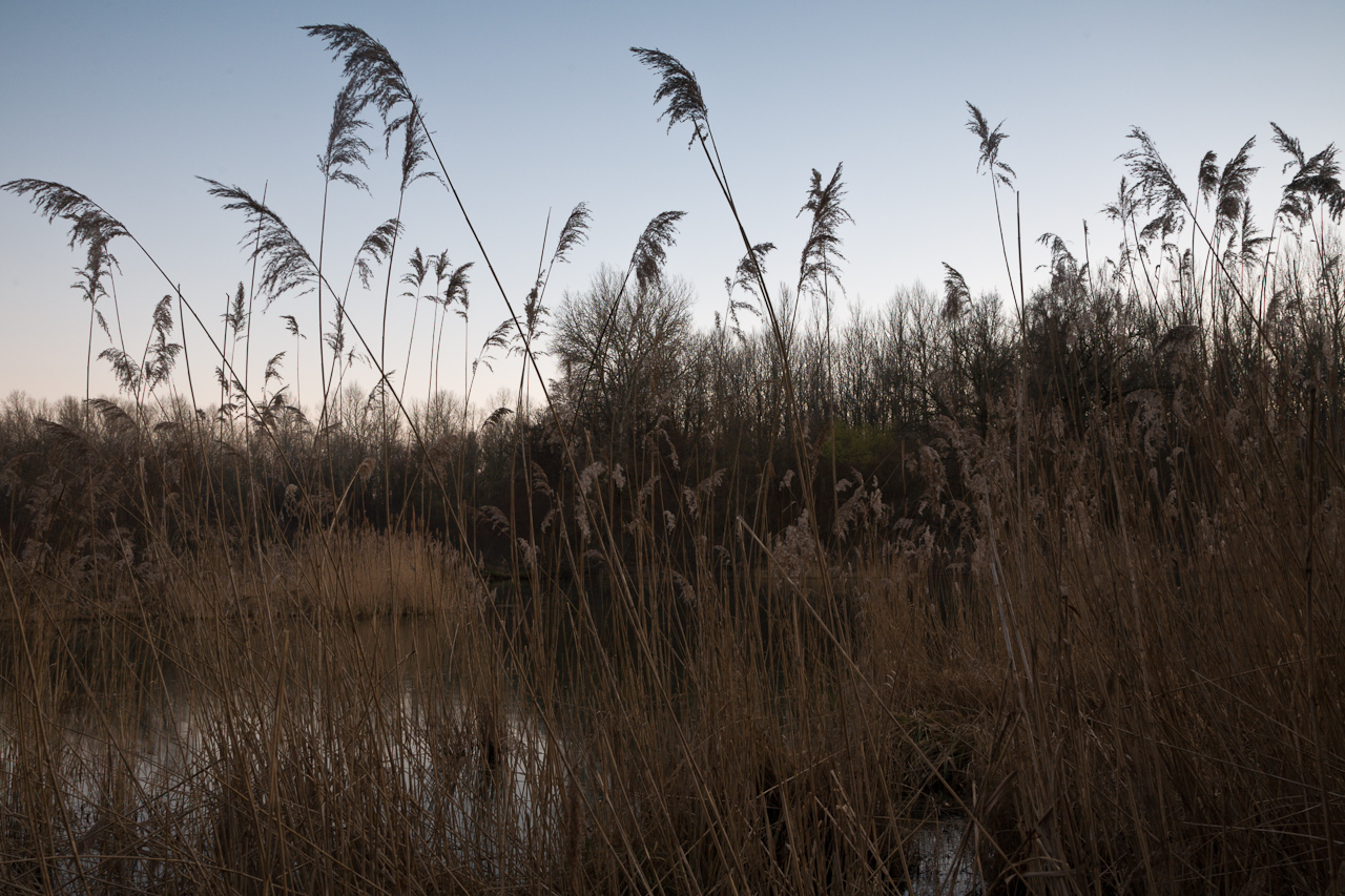 landscape_013.jpg