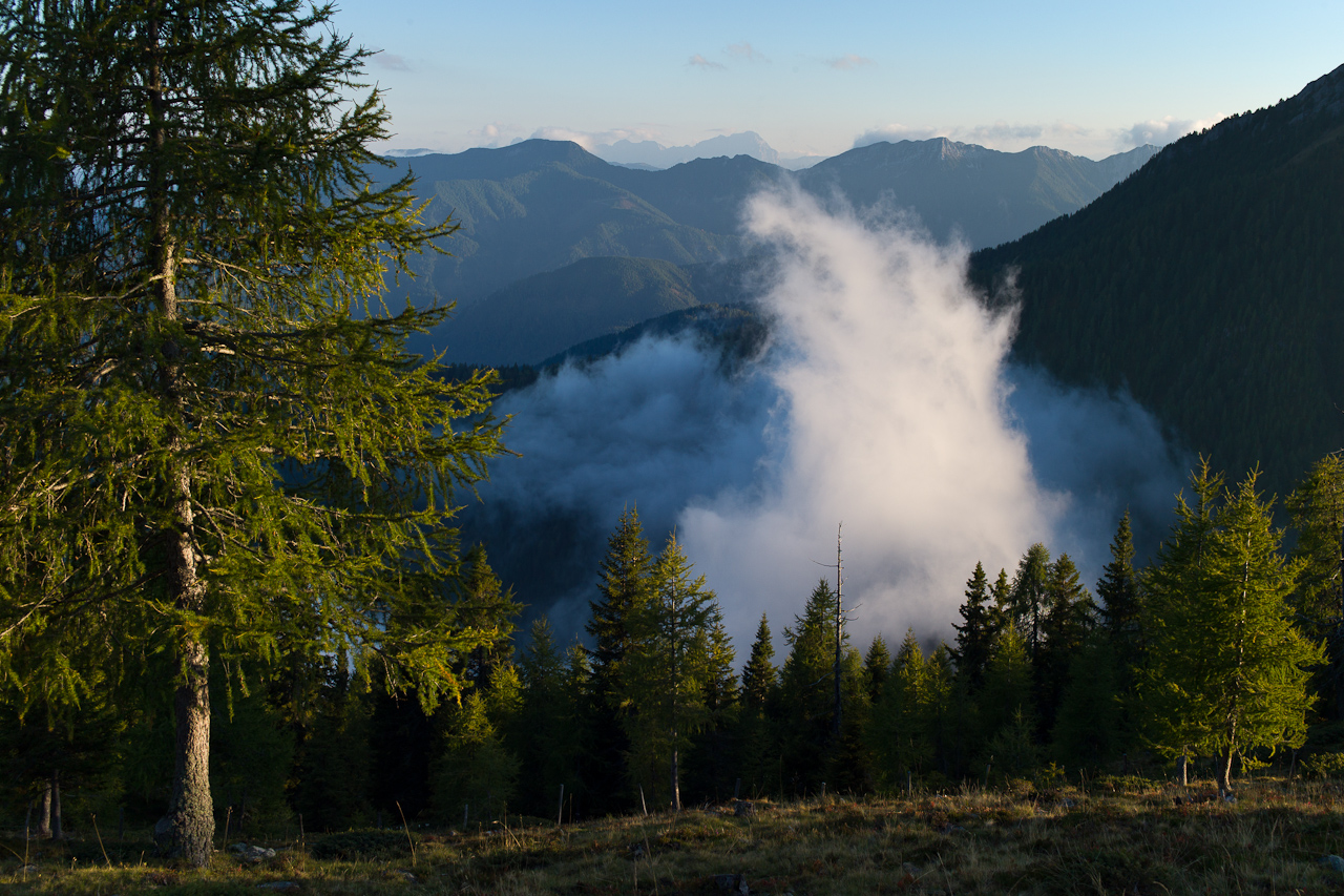 landscape_014.jpg