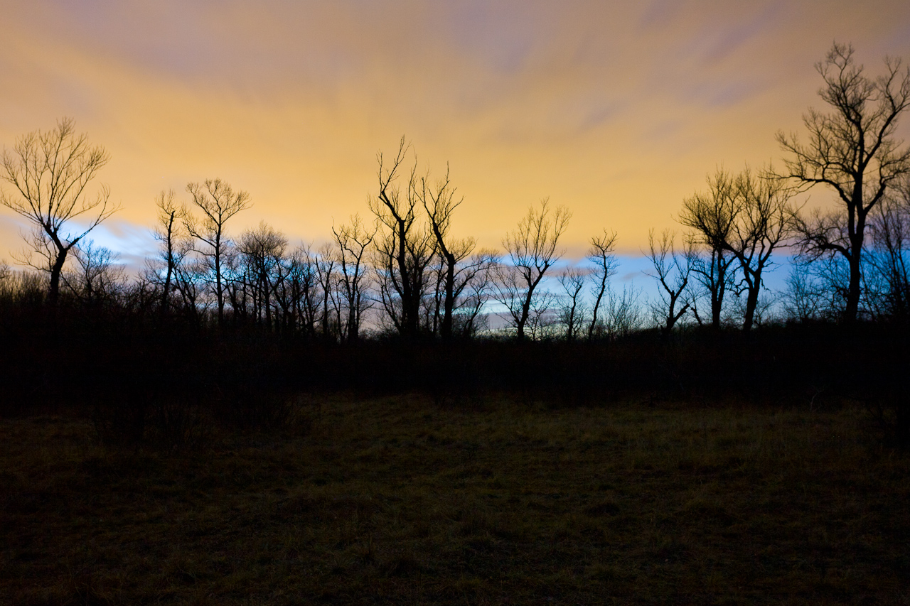 landscape_015.jpg