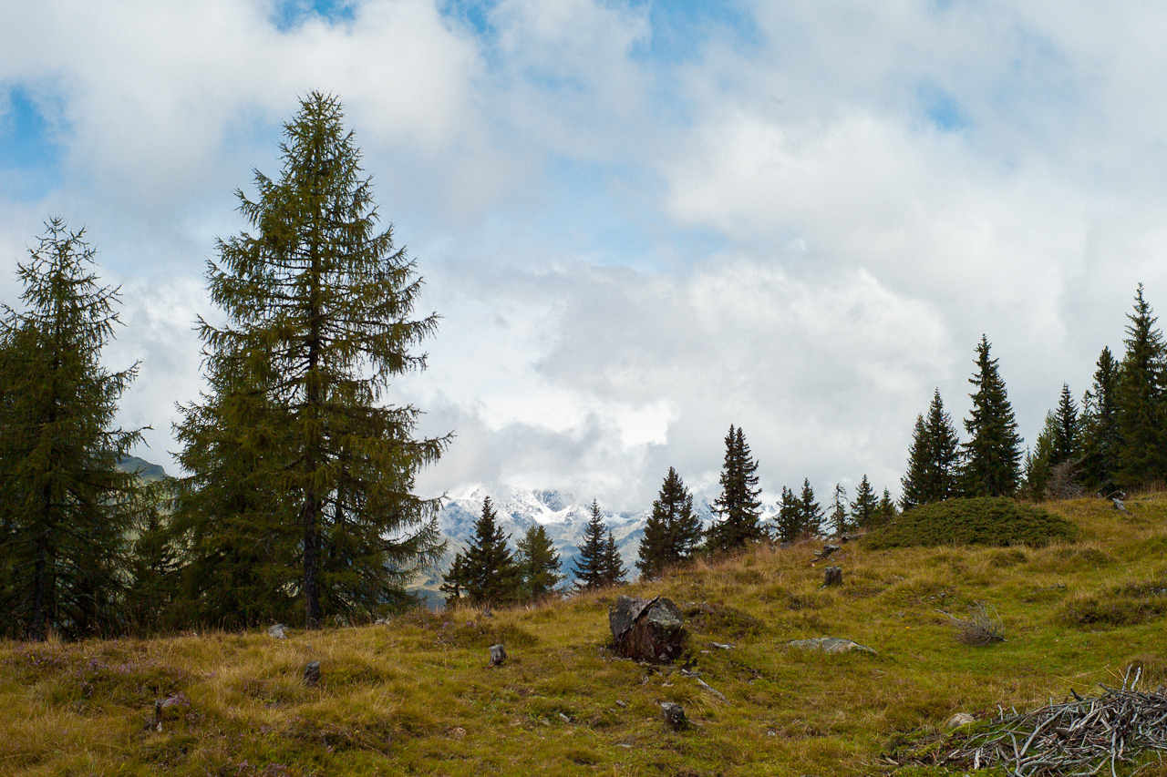 landscape_017.jpg