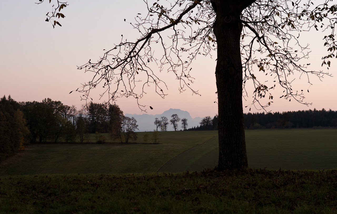 landscape_018.jpg