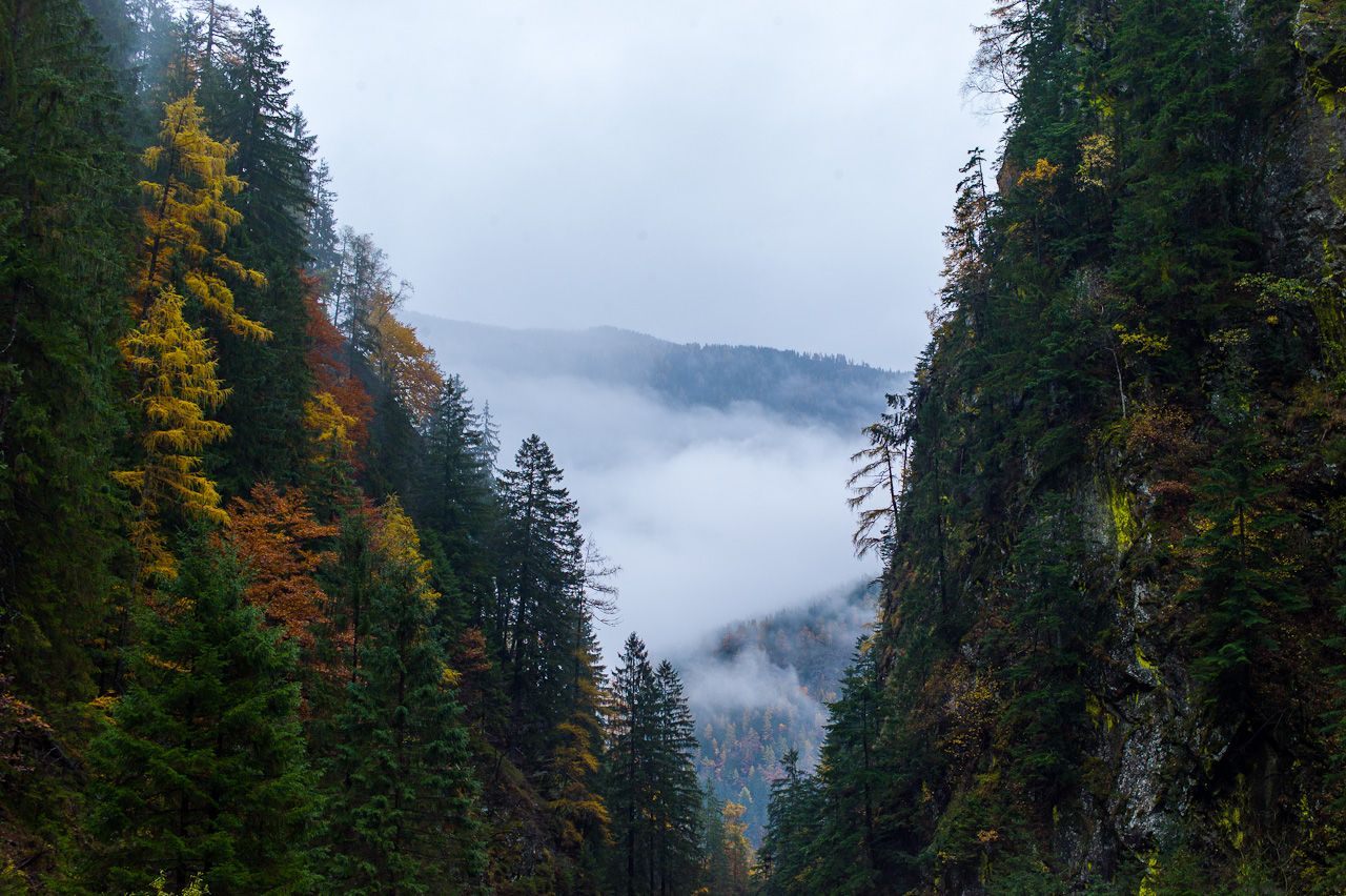 landscape_019.jpg
